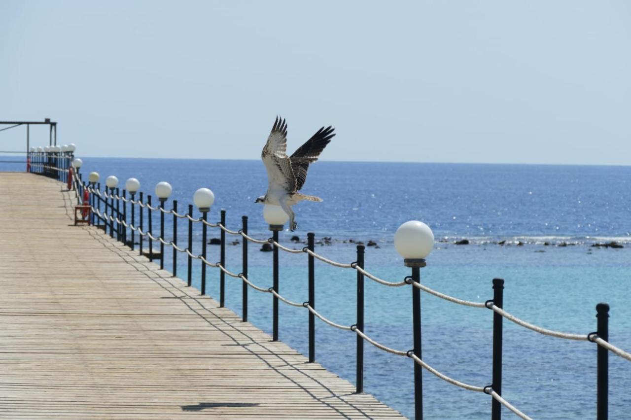 Wadi Lahmy Azur Resort - Soft All-Inclusive Abū Ghuşūn Buitenkant foto